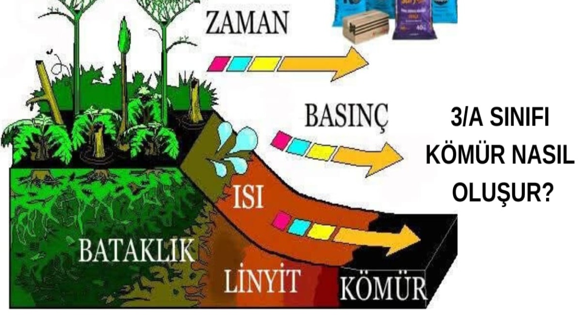 3/A SINIFI HİKAYEMİN RESMİNİ YAPARAK ANLATIYORUM.